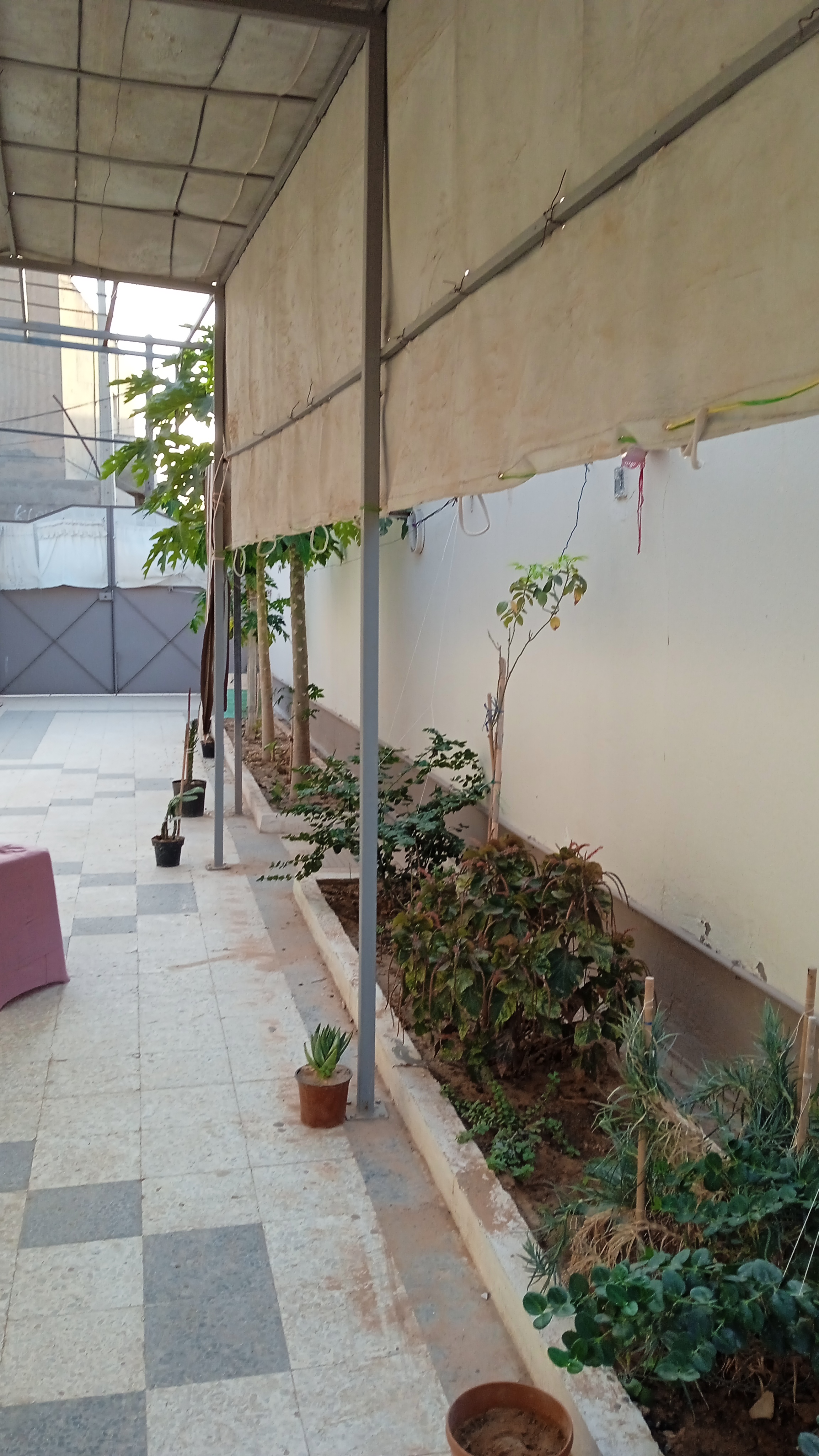 Sakiet Ezzit Merkez Chihya Vente Maisons Maison de 280 m2 avec jardin  chyhya sfax